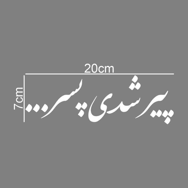 برچسب بدنه خودرو طرح پیر شدی پسر کد MT-W493