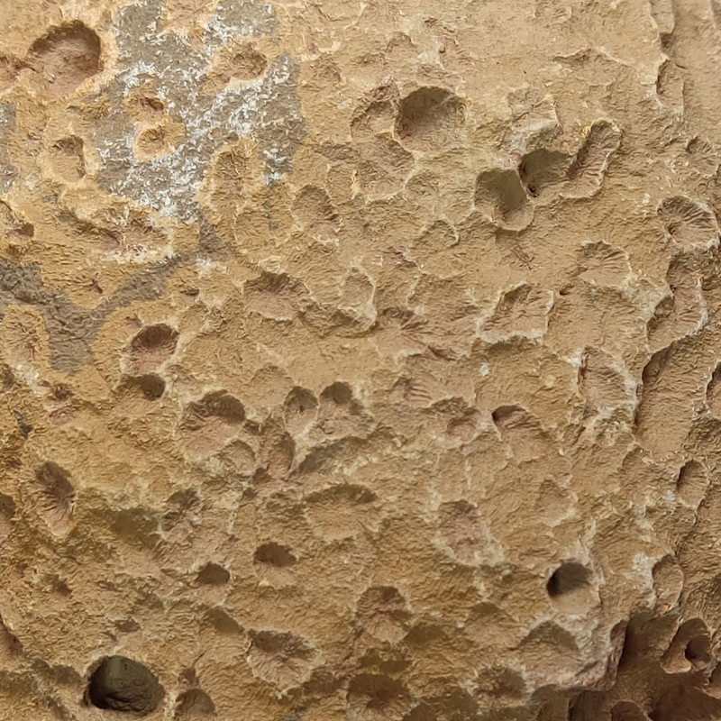 سنگ راف مرجانی مدل s1