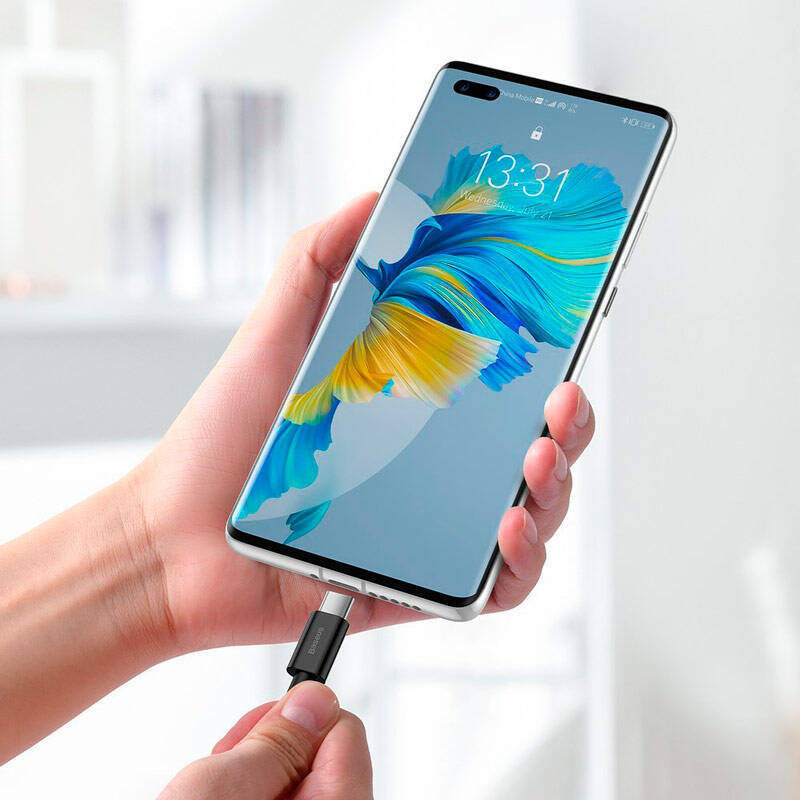 کابل تبدیل USB به USB-C باسئوس مدل Superior Series CATYS-A 6A 66W طول 2 متر