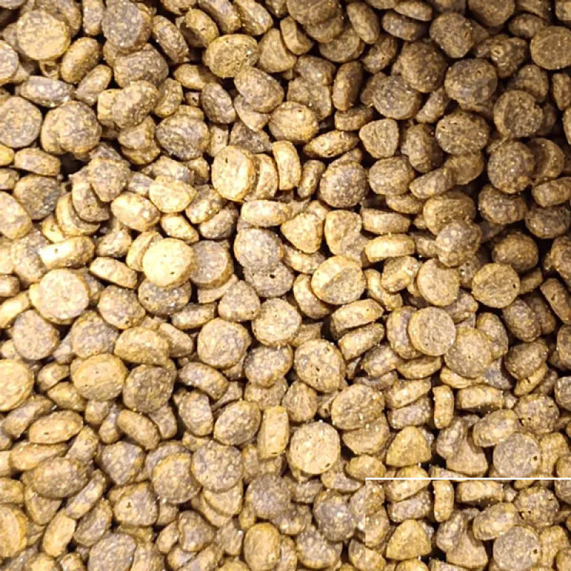 غذا خشک گربه بالغ فید وان پت مدل ادالت فله طعم مرغ و ماهی وزن 1500 گرم