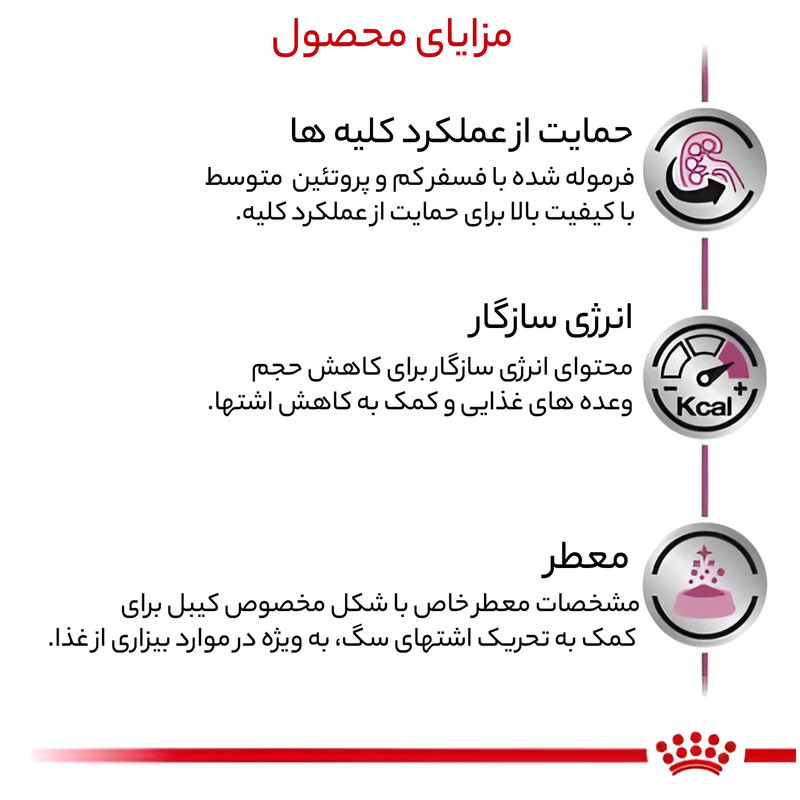 غذای خشک سگ رویال کنین مدل رنال وزن 2 کیلوگرم