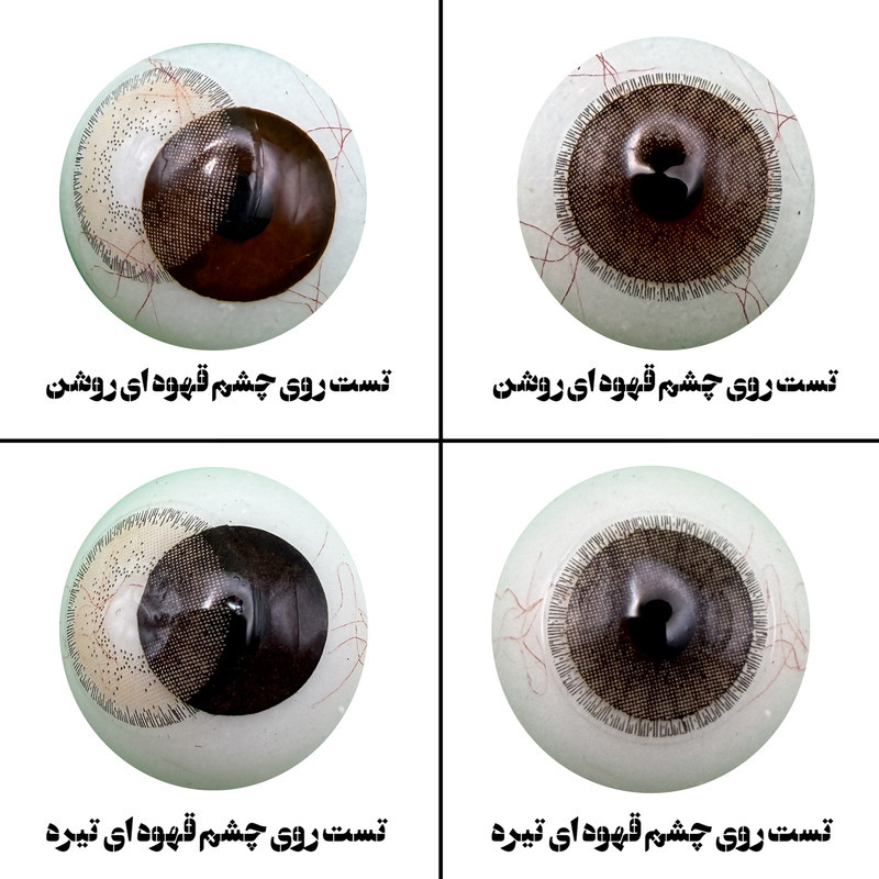 لنز چشم هرا مدل 17 سالانه کد ACJA220 رنگ قهوه ای طبیعی دوردار