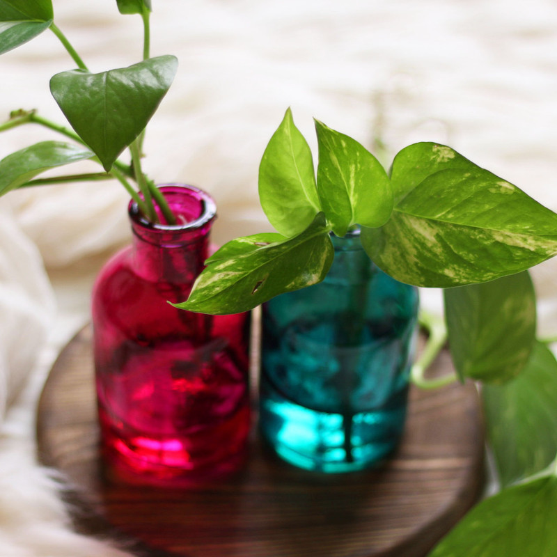 گلدان دکوری شیشه‌ای مناسب قلمه زدن مدل SD23 مجموعه 2 عددی، قابل استفاده برای گل و گیاهان طبیعی و خشک، ابعاد 13x7x7 سانتی‌متر، وزن 200 گرم، تمیزکاری با پارچه مرطوب