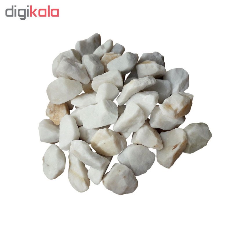 سنگ تزئینی آکواریوم مدل D10 وزن 1 کیلوگرم