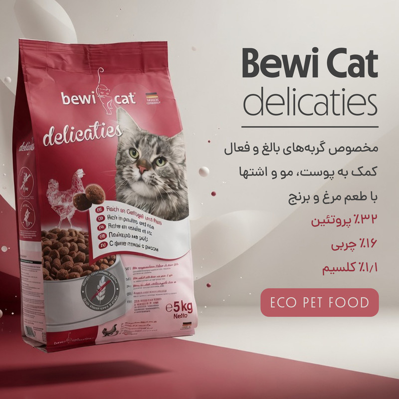 غذای خشک گربه بالغ بوی کت مدل Delicaties طعم مرغ و برنج وزن 5 کیلوگرم