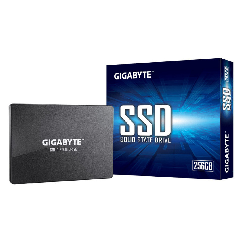 اس اس دی اینترنال گیگابایت مدل GP-GSTFS31256GTND ظرفیت 256 گیگابایت