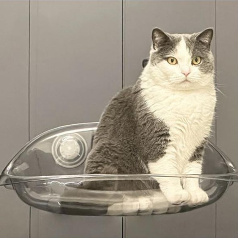 جای خواب گربه مدل شیشه ای مکشی window Bed