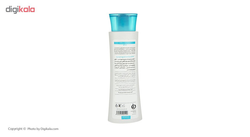 شامپو ضد شوره سینره مدل Anti Dandruff Willow حجم 250 میلی لیتر