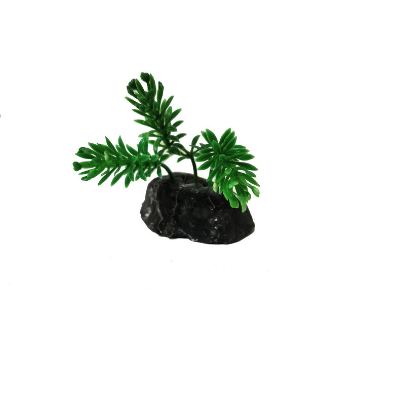 گیاه تزیینی آکواریوم کد VB09 مجموعه 10 عددی