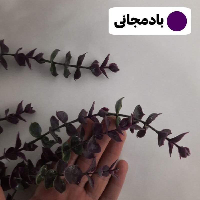 گل مصنوعی آویزی طرح شمشاد با برگ‌های شمشاد مات و گلدان حصیری روستیک، مناسب دکور دیواری و رومیزی، ابعاد 25×25×80 سانتی‌متر، وزن 150 گرم