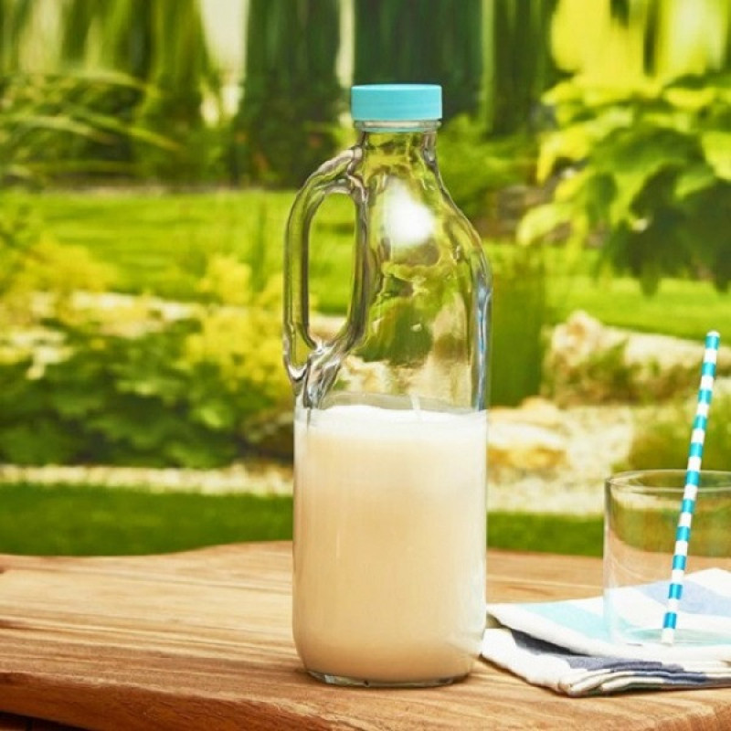 بطری پاشاباغچه مدل بیسیک Water Bottle کد 80342