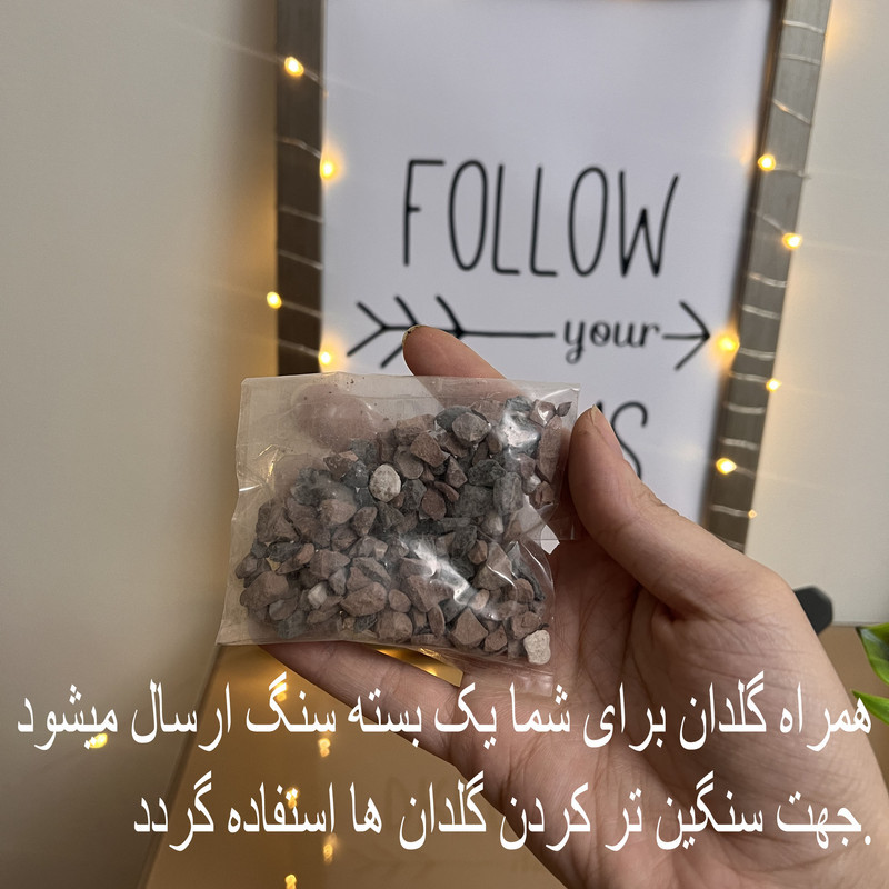 گلدان به همراه گل مصنوعی مدل برگ انجیری 2 مربعی کد 321