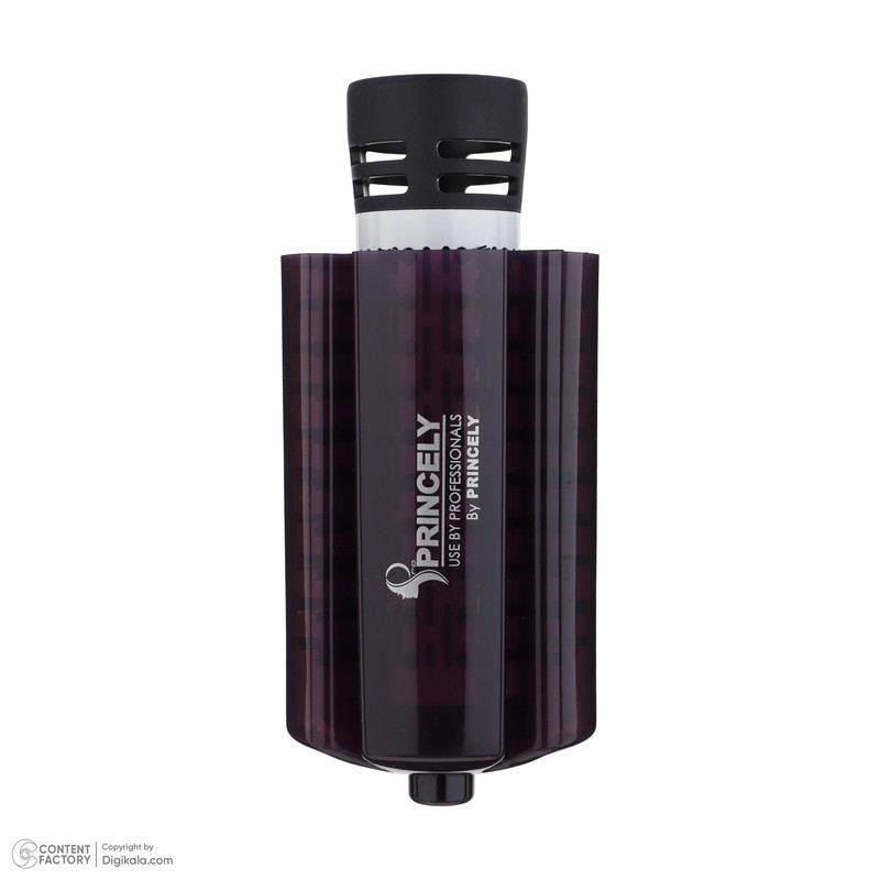 سشوار برس دار چرخشی پرنسلی مدل PR306AT
