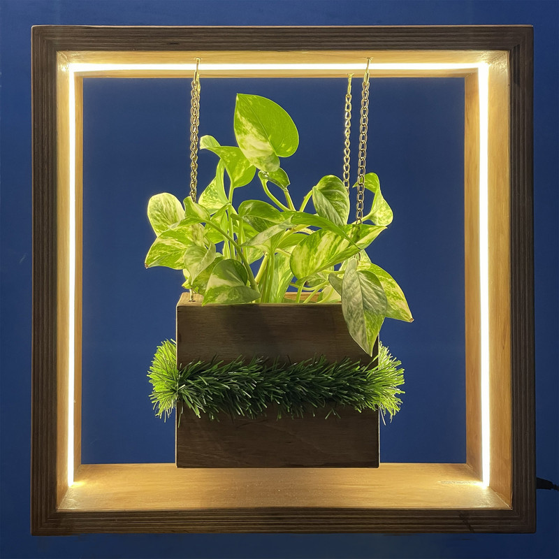 گلدان دکوری چوبی مکعبی چراغ‌دار طرح رویای با نوار LED، نور طبیعی، 10 وات، تغذیه با آداپتور 12 ولت و کلید روشنخاموش، مناسب رومیزی و جای ظرف آب 10×10 سانتی‌متر