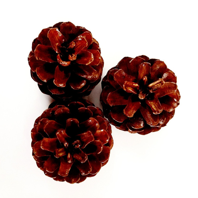 دکوری مدل کاج شنی مجموعه 3 عددی