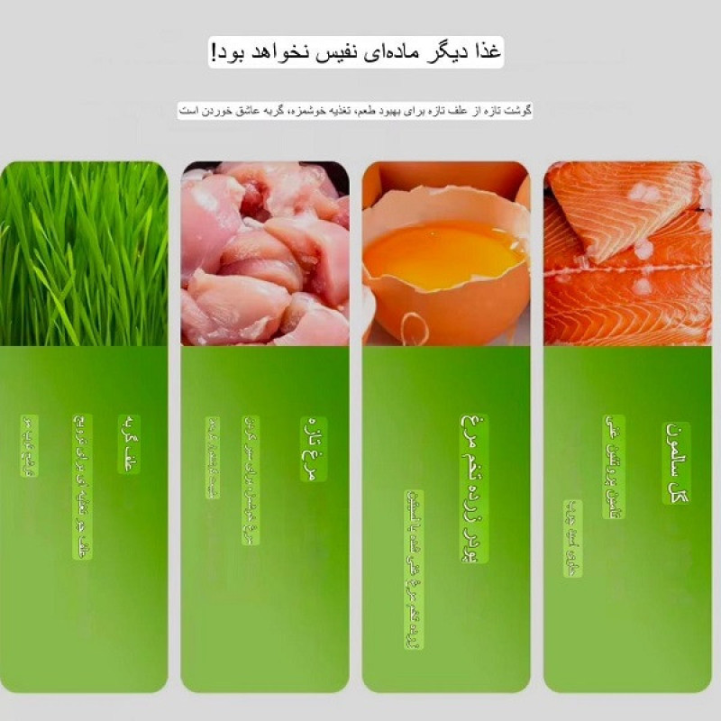 تشویقی گربه مدل اسنک کت گراس وزن 30 گرم مجموعه 6 عددی