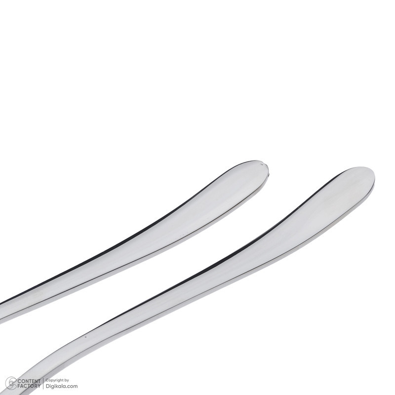 سرویس قاشق و چنگال 12 پارچه ام جی اس مدل DF008-M
