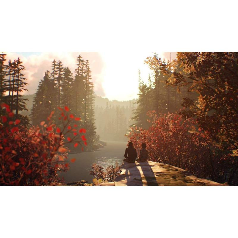 بازی Life is Strange 2 نسخه دیسک بلوری مخصوص PS4