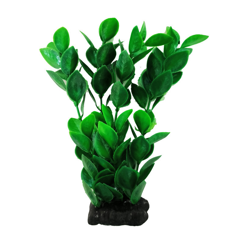 گیاه تزیینی آکواریوم کد S02 مجموعه 10 عددی
