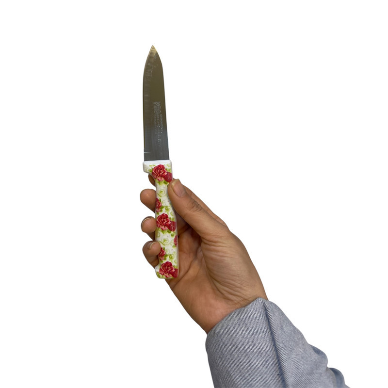 کارد میوه خوری مدل پروفشنال مجموعه 3 عددی