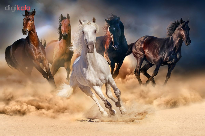 پوستر دیواری سه بعدی طرح اسب کد AL 28