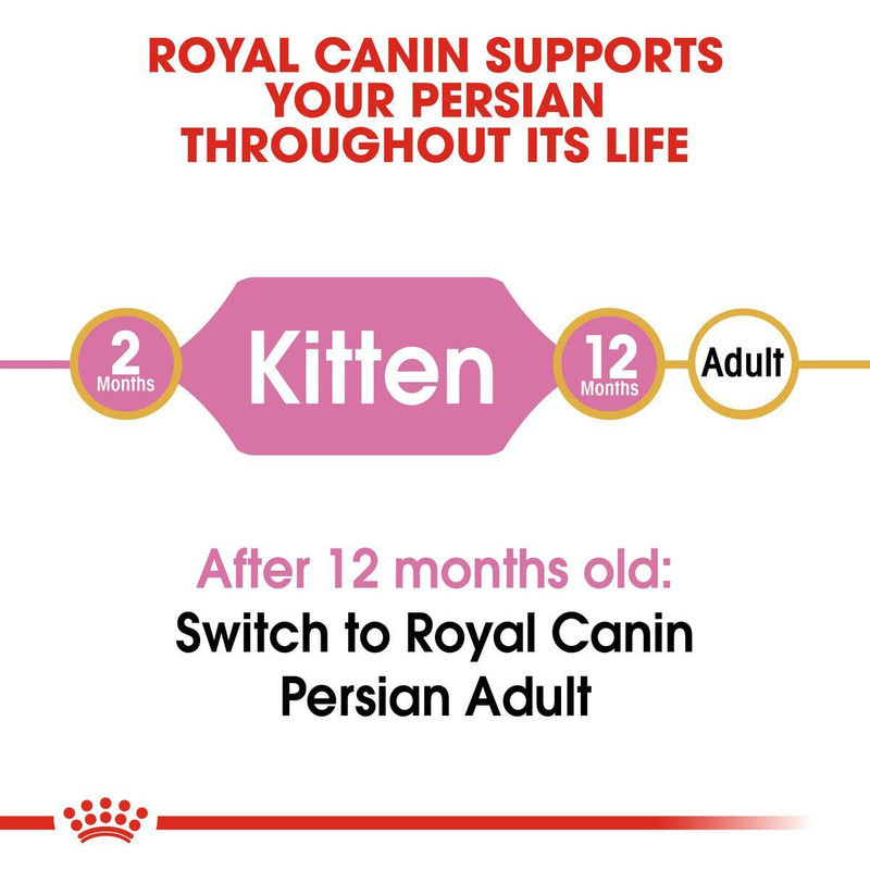 غذای خشک بچه گربه رویال کنین مدل Persian Kitten وزن 2 کیلوگرم به همراه پوچ وزن 85 گرم