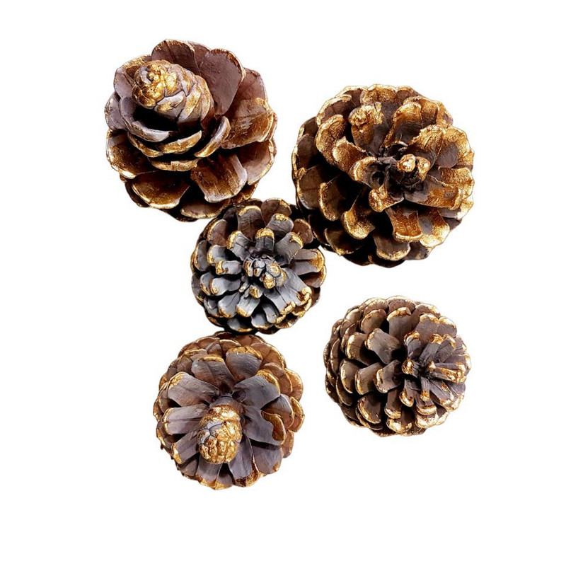 میوه تزئینی مدل پتینه کاج مجموعه 5 عددی