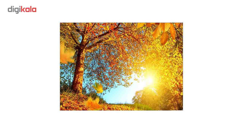 تابلو شاسی ونسونی طرح Fall Trees سایز 70 × 50 سانتی متر