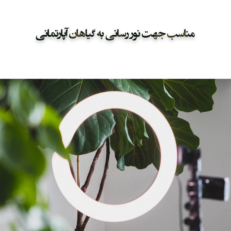 رینگ لایت مدل LJJ-26