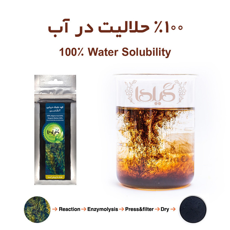 کود جلبک دریایی گیلدا مدل Seaweed وزن 25 گرم