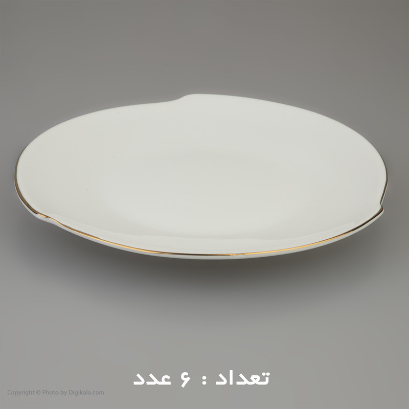 سرویس غذا خوری 30 پارچه شرکت صنایع چینی تقدیس مدل خط طلا