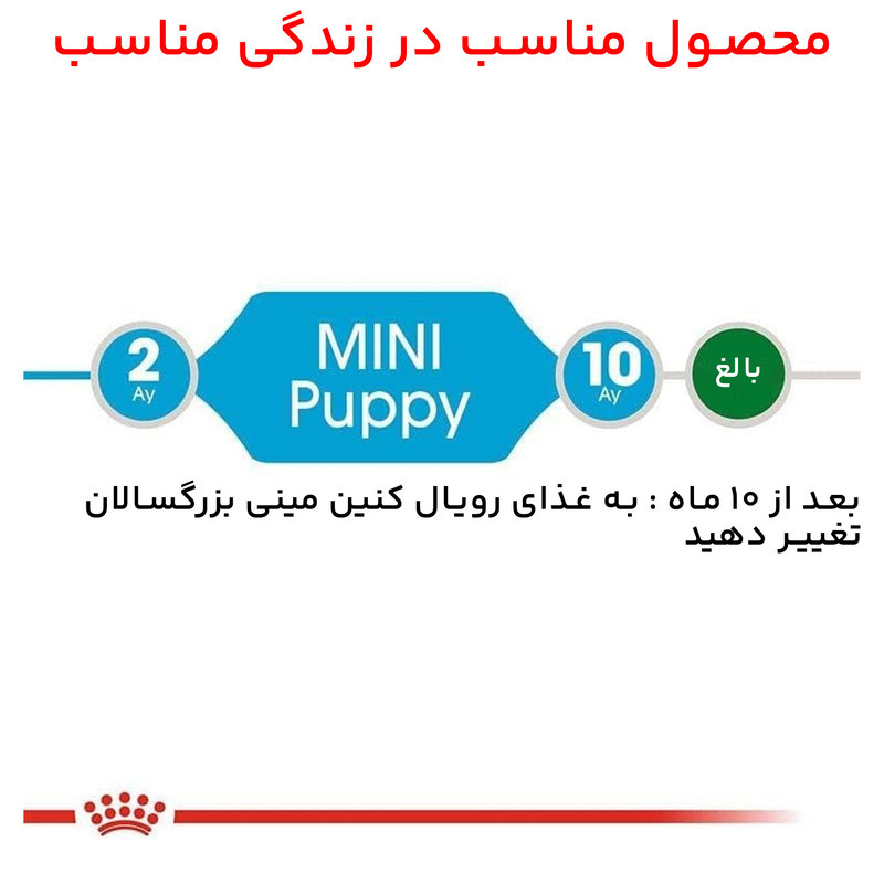 غذای خشک و توله سگ رویال کنین مدل Mini Puppy وزن 2 کیلوگرم مجموعه 3 عددی