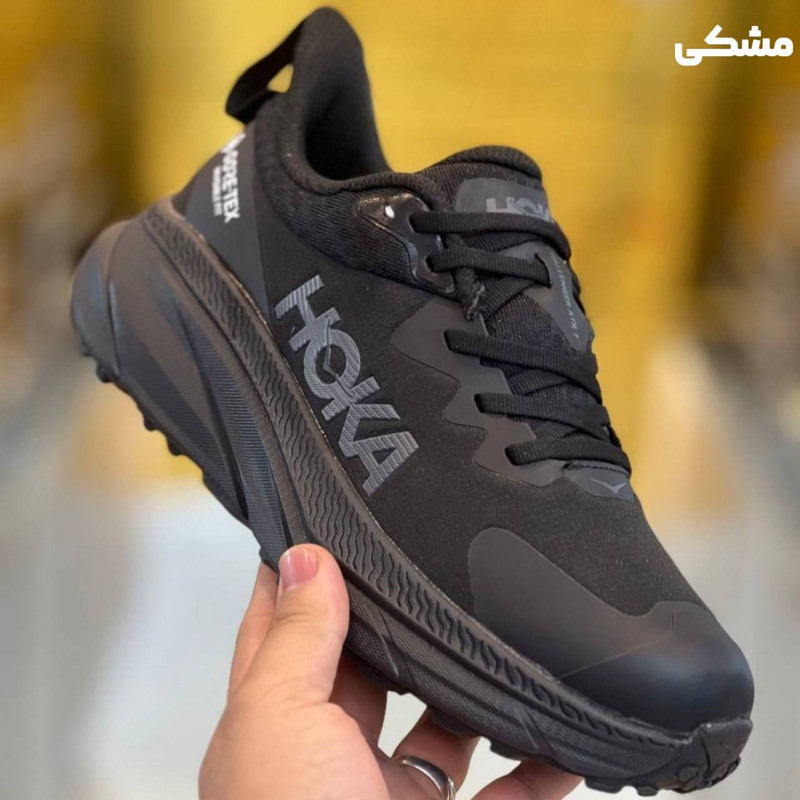 کفش پیاده روی مردانه هوکا مدل challenger goretex