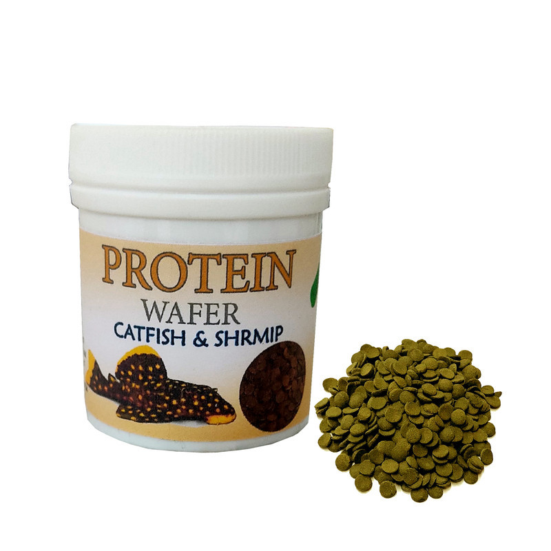 غذای ماهی کتفیش و کفخوار ها مدل protein وزن 50 گرم