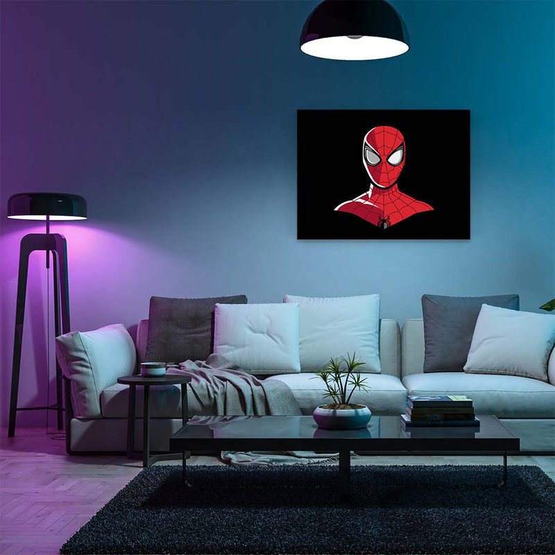 تابلو شاسی مدل spider man کد S-16020