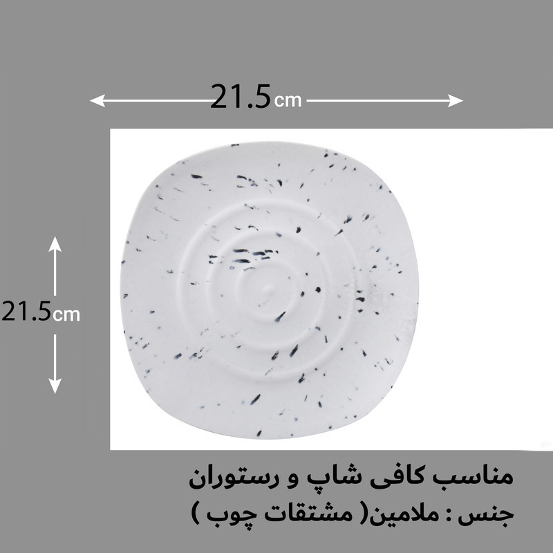 بشقاب غذا خوری مدل PS220-25