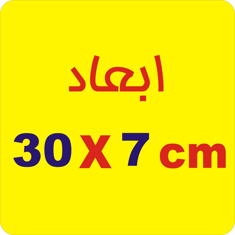 برچسب بدنه خودرو لیزارد مدل اسپورت طرح شعله کد LZD-1023 بسته دو عددی