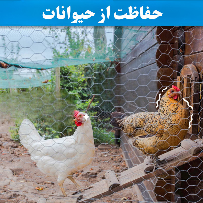 توری مدل مرغی گالوانیزه کد G18010 طول 10 متر