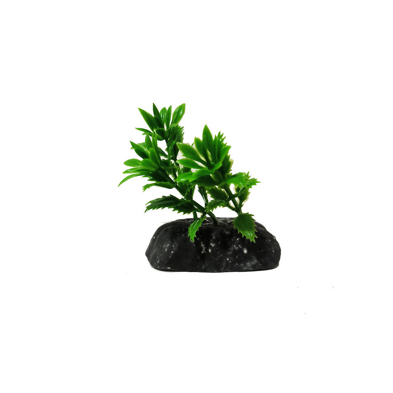 گیاه تزیینی آکواریوم کد VB09 مجموعه 10 عددی