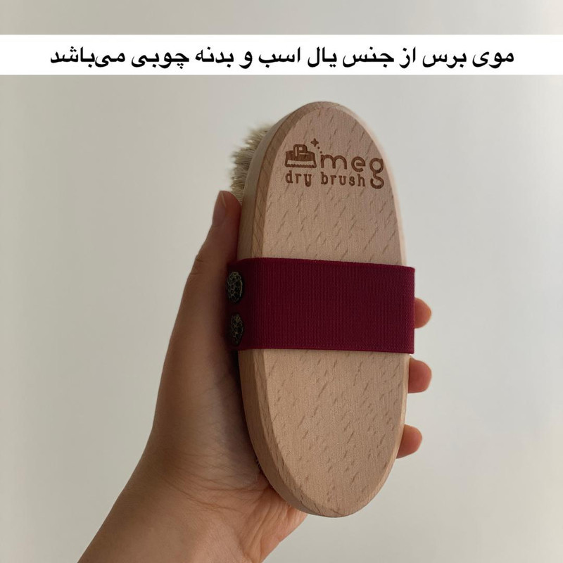 برس شستشوی بدن مگ مدل موی اسب