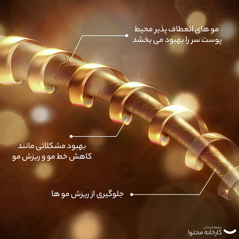 شامپو تقویت کننده و ضد ریزش مو بایو آکوا مدل رزماری مناسب انواع مو حجم 250 میلی لیتر