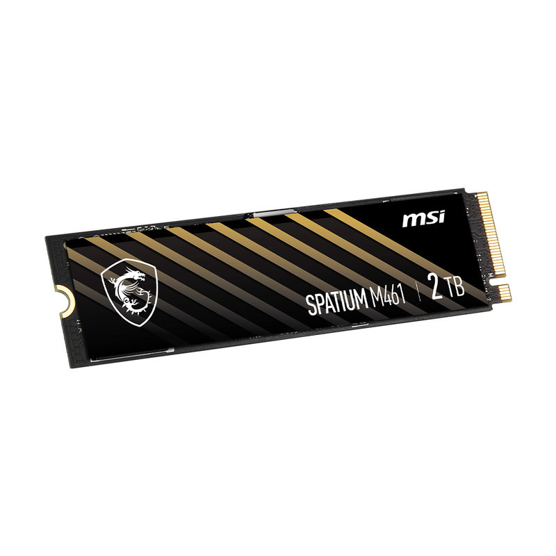 اس اس دی اینترنال PCIe Gen4 x4 ام اس آی مدل M461 ظرفیت 2 ترابایت