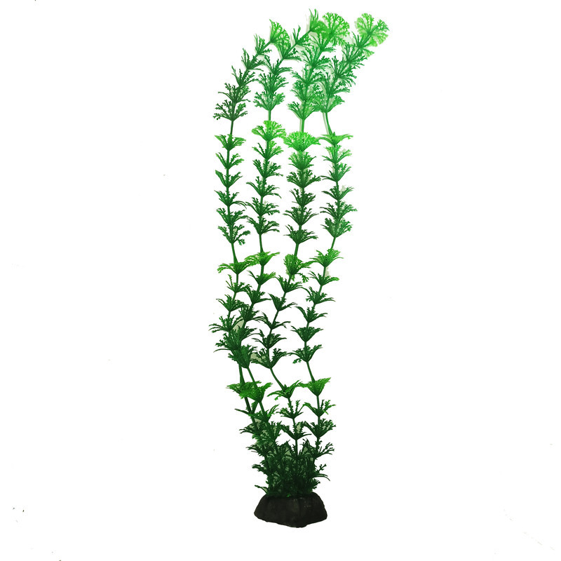 گیاه تزیینی آکواریوم کد sum10 مجموعه 10 عددی