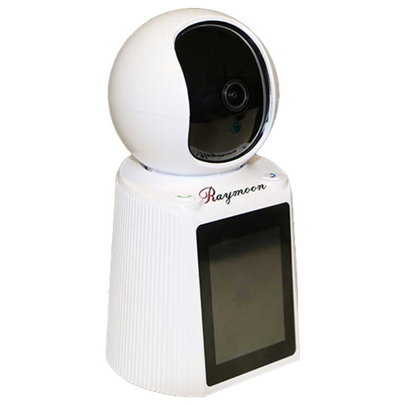 دوربین مداربسته تحت شبکه رایمون مدل 2 مگاپیکسل کد RW-300