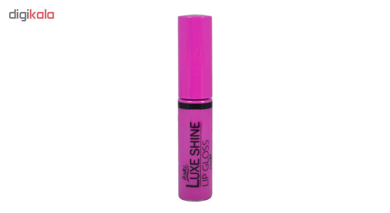 رژ لب مایع آنیکا مدل Luxe Shine شماره L19