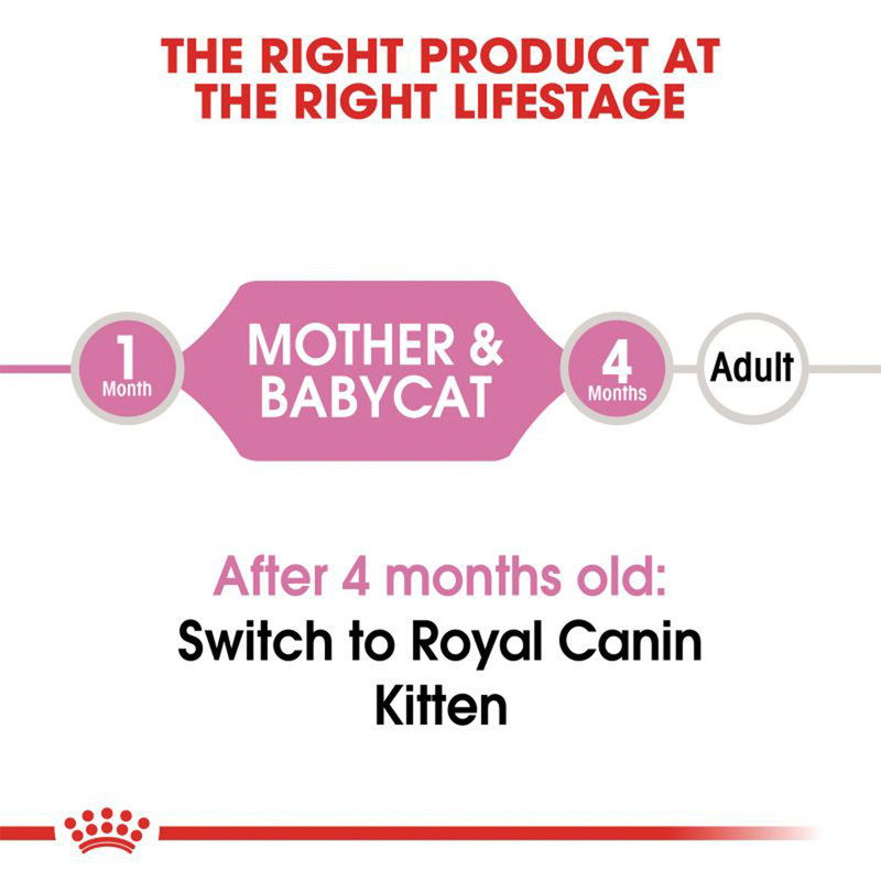کنسرو پوچ گربه نابالغ رویال کنین مدل Mother & Babycat وزن 195 گرم