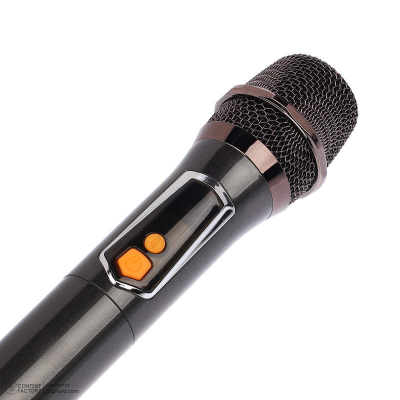 اسپیکر بلوتوثی قابل حمل برودو مدل BTS-2255