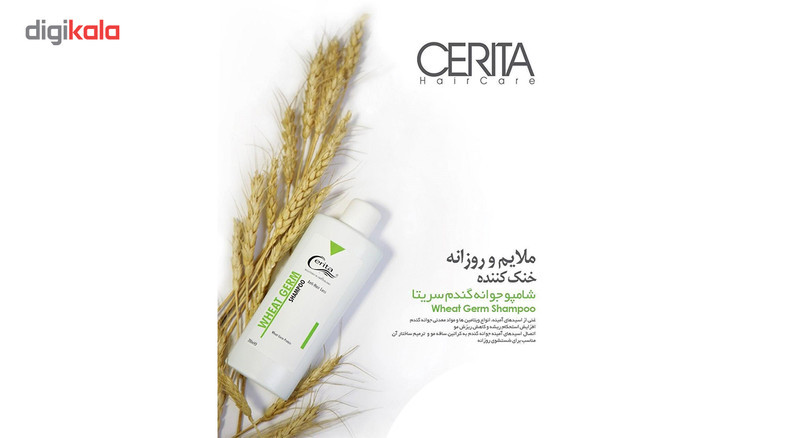 پک فوم کاشت مو و شامپو جوانه گندم سریتا مدل Hair مجموعه 2 عددی