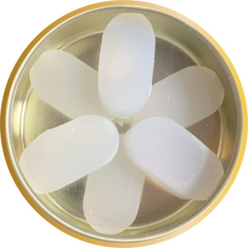 گوشگیر ژله ای کلور پلاس مدل 03 بسته 6 عددی
