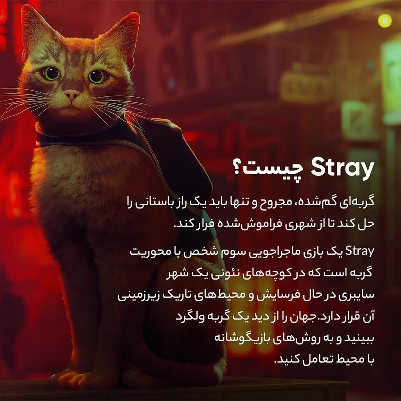 بازی Stray مخصوص PS4